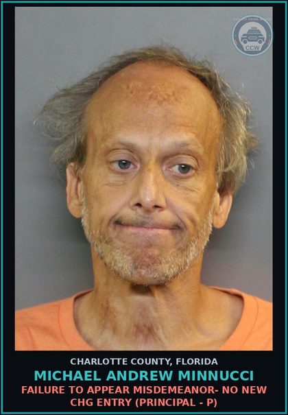 CCW arrest card for MICHAEL ANDREW MINNUCCI in Charlotte County: FAILURE TO APPEAR MISDEMEANOR- NO NEW CHG ENTRY (Principal - P)