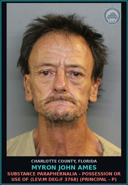 CCW arrest card for MYRON JOHN AMES in Charlotte County: substance Paraphernalia - Possession or Use Of (LEV:M DEG:F 3768) (Principal - P)