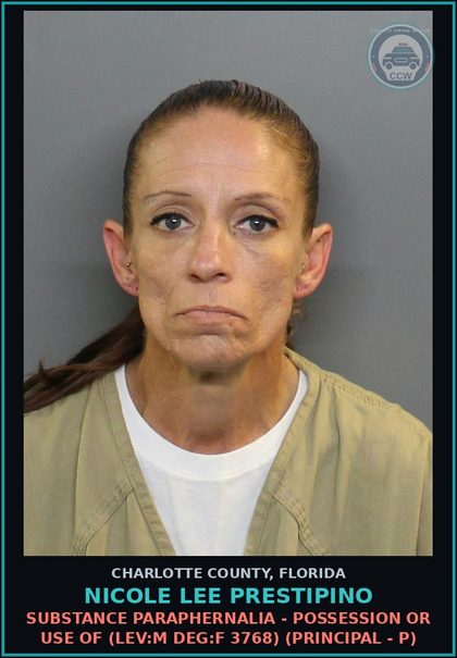 CCW arrest card for NICOLE LEE PRESTIPINO in Charlotte County: Violation of probation or community control (3848) (Principal - P)
