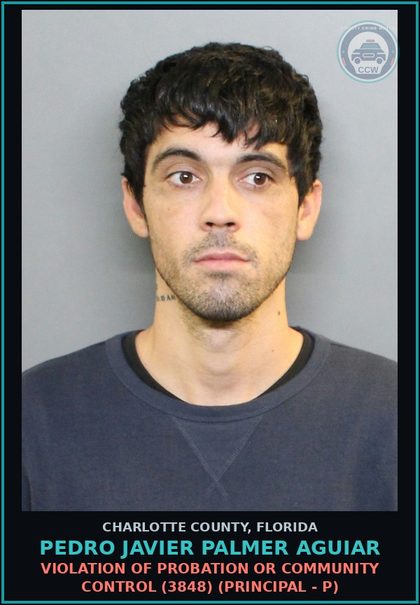 CCW arrest card for PEDRO JAVIER PALMER AGUIAR in Charlotte County: Violation of probation or community control (3848) (Principal - P)