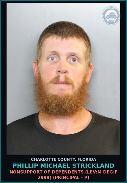 CCW arrest card for PHILLIP MICHAEL STRICKLAND in Charlotte County: Nonsupport of Dependents (LEV:M DEG:F 2999) (Principal - P)
