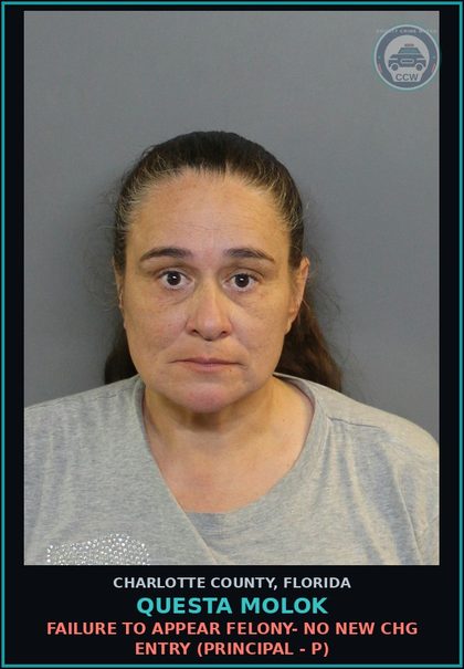 CCW arrest card for QUESTA MOLOK in Charlotte County: Petit Theft 3rd Subsq Off (LEV:F DEG:T 2800) (Principal - P)