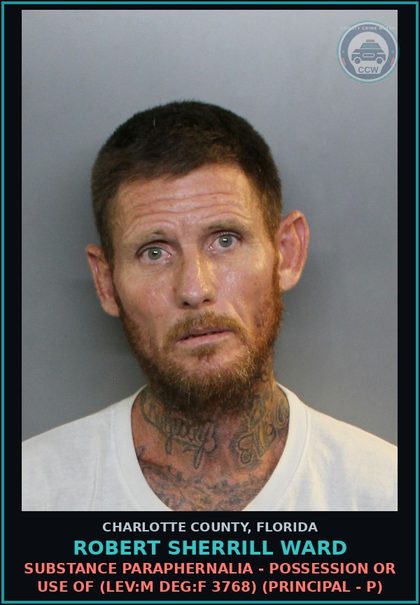 CCW arrest card for ROBERT SHERRILL WARD in Charlotte County: Tamper With or Fabricate Physical Evidence (LEV:F DEG:T 3801) (Principal - P)