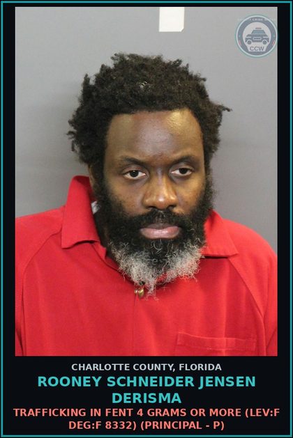 CCW arrest card for ROONEY SCHNEIDER JENSEN DERISMA in Charlotte County: POSS INTENT SELL/MFG/DEL CTRL SUB SCHEDULE II (LEV:F DEG:S 10031) (Principal - P)
