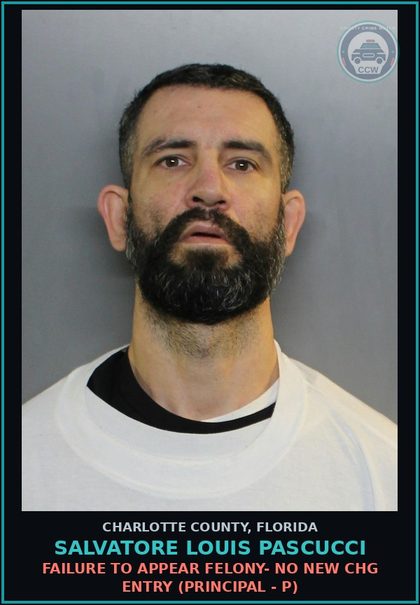 CCW arrest card for SALVATORE LOUIS PASCUCCI in Charlotte County: FAILURE TO APPEAR FELONY- NO NEW CHG ENTRY (Principal - P)
