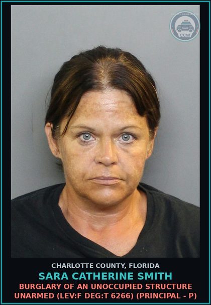CCW arrest card for SARA CATHERINE SMITH in Charlotte County: Grand Theft Property More than $750 but Less Than $5000 (LEV:F DEG:T 4088) (Principal - P)