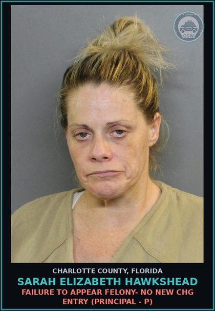 CCW arrest card for SARAH ELIZABETH HAWKSHEAD in Charlotte County: FAILURE TO APPEAR FELONY- NO NEW CHG ENTRY (Principal - P)