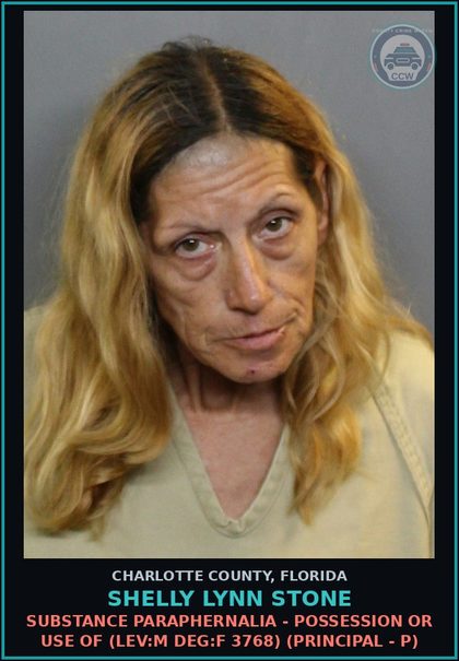 CCW arrest card for SHELLY LYNN STONE in Charlotte County: Possess Cntrl Sub WO PRESCRP (LEV F DEG T 3695) (Principal - P)
