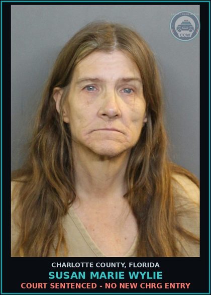 CCW arrest card for SUSAN MARIE WYLIE in Charlotte County: Court Sentenced - No New CHRG Entry