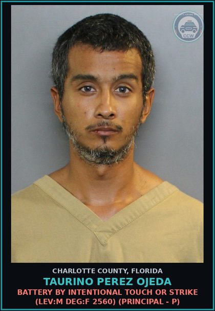 CCW arrest card for TAURINO PEREZ OJEDA in Charlotte County: Battery by Intentional Touch or Strike (LEV:M DEG:F 2560) (Principal - P)
