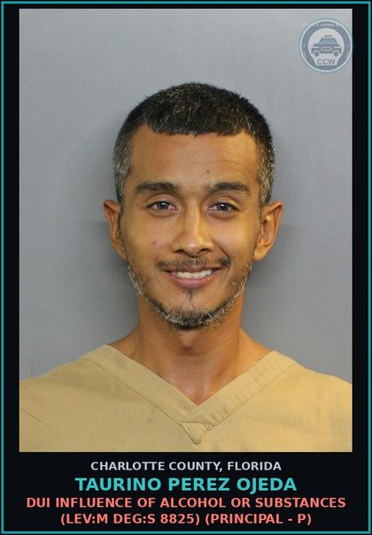 CCW arrest card for TAURINO PEREZ OJEDA in Charlotte County: Resisting Officer Without Violence (LEV:M DEG:F 3143) (Principal - P)
