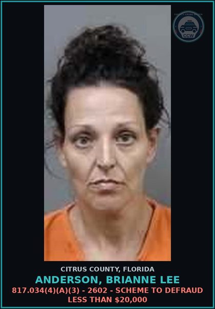CCW arrest card for ANDERSON, BRIANNE LEE in Citrus County: 817.034(4)(A)(3) - 2602 - SCHEME TO DEFRAUD LESS THAN $20,000