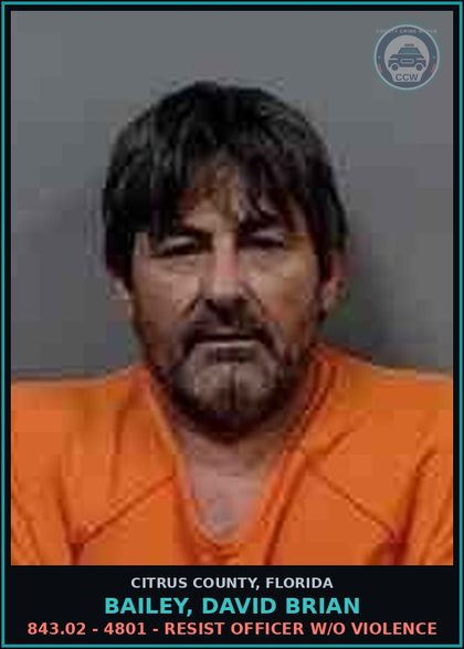 CCW arrest card for BAILEY, DAVID BRIAN in Citrus County: 843.02 - 4801 - RESIST OFFICER W/O VIOLENCE