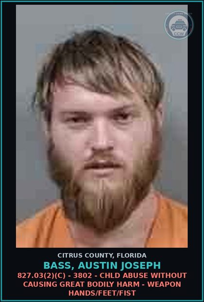 CCW arrest card for BASS, AUSTIN JOSEPH in Citrus County: 827.03(2)(C) - 3802 - chld ABUSE WITHOUT CAUSING GREAT BODILY HARM - WEAPON HANDS/FEET/FIST