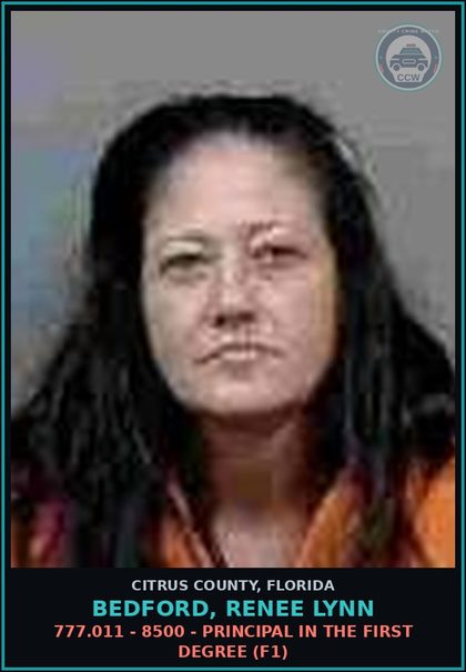 CCW arrest card for Bedford, Renee Lynn in Citrus County: 812.13(2)(A) - 1299 - ROBBERY WITH FIREARM