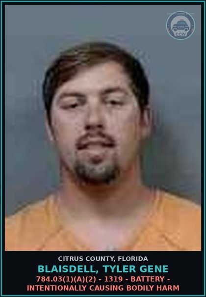 CCW arrest card for BLAISDELL, TYLER GENE in Citrus County: 784.03(1)(A)(2) - 1319 - BATTERY - INTENTIONALLY CAUSING BODILY HARM
