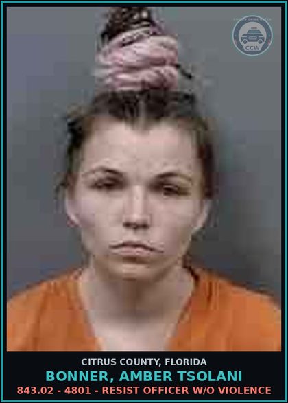 CCW arrest card for BONNER, AMBER TSOLANI in Citrus County: 843.02 - 4801 - RESIST OFFICER W/O VIOLENCE