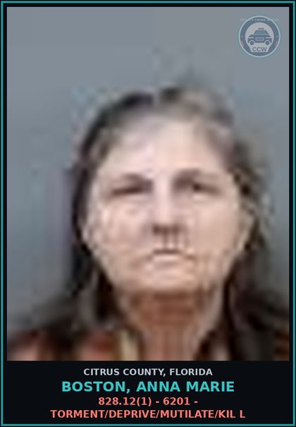 CCW arrest card for BOSTON, ANNA MARIE in Citrus County: 828.12(1) - 6201 - TORMENT/DEPRIVE/MUTILATE/KIL L