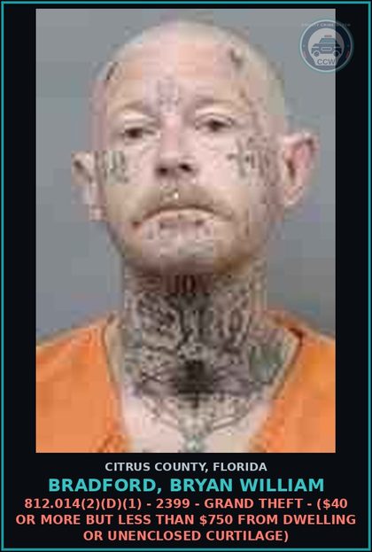 CCW arrest card for Bradford, Bryan William in Citrus County: 812.014(2)(D)(1) - 2399 - GRAND THEFT - ($40 OR MORE BUT LESS THAN $750 FROM DWELLING OR UNENCLOSED CURTILAGE)