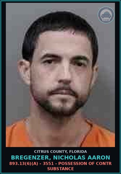 CCW arrest card for BREGENZER, NICHOLAS AARON in Citrus County: 893.13(6)(A) - 3551 - POSSESSION OF contr substance
