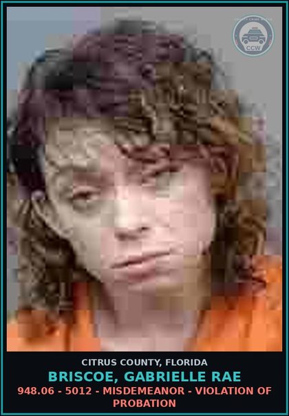 CCW arrest card for BRISCOE, GABRIELLE RAE in Citrus County: 948.06 - 5012 - MISDEMEANOR - VIOLATION OF PROBATION