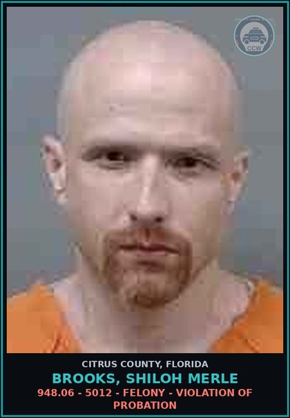 CCW arrest card for Brooks, Shiloh Merle in Citrus County: 948.06 - 5012 - FELONY - VIOLATION OF PROBATION