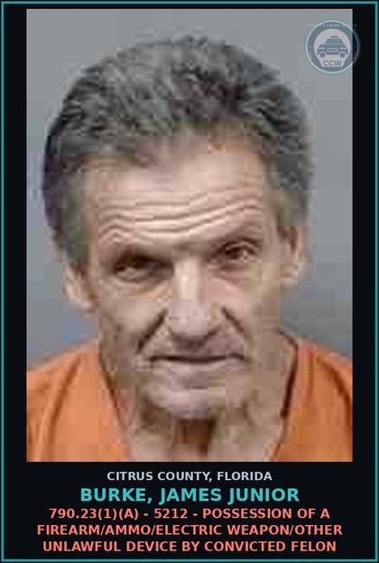 CCW arrest card for Burke, James Junior in Citrus County: 790.23(1)(A) - 5212 - POSSESSION OF A FIREARM/AMMO/ELECTRIC WEAPON/OTHER UNLAWFUL DEVICE BY CONVICTED FELON