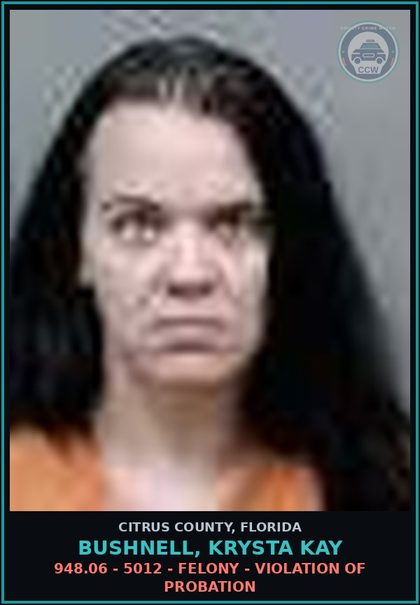 CCW arrest card for Bushnell, Krysta Kay in Citrus County: 948.06 - 5012 - FELONY - VIOLATION OF PROBATION