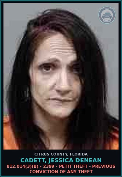 CCW arrest card for CADETT, JESSICA DENEAN in Citrus County: 812.014(3)(B) - 2399 - PETIT THEFT - PREVIOUS CONVICTION OF ANY THEFT