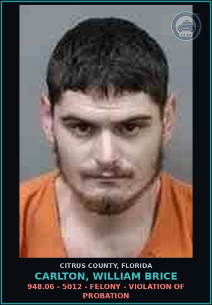 CCW arrest card for CARLTON, WILLIAM BRICE in Citrus County: 948.06 - 5012 - FELONY - VIOLATION OF PROBATION