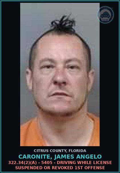 CCW arrest card for CARONITE, JAMES ANGELO in Citrus County: 322.34(2)(A) - 5405 - DRIVING WHILE LICENSE SUSPENDED OR REVOKED 1ST OFFENSE