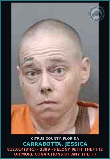 CCW arrest card for CARRABOTTA, JESSICA in Citrus County: 812.014(3)(C) - 2399 - FELONY PETIT THEFT (2 OR MORE CONVICTIONS OF ANY THEFT)