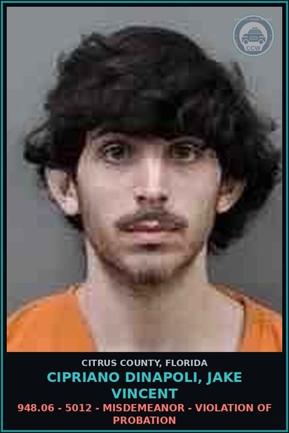 CCW arrest card for CIPRIANO DINAPOLI, JAKE VINCENT in Citrus County: 948.06 - 5012 - MISDEMEANOR - VIOLATION OF PROBATION