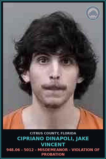 CCW arrest card for CIPRIANO DINAPOLI, JAKE VINCENT in Citrus County: 948.06 - 5012 - MISDEMEANOR - VIOLATION OF PROBATION