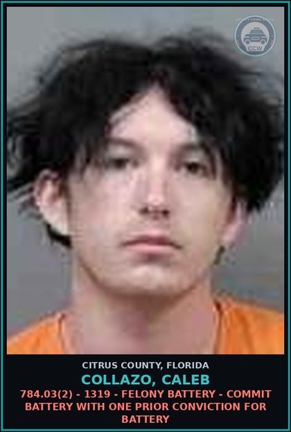 CCW arrest card for COLLAZO, CALEB in Citrus County: 784.03(2) - 1319 - FELONY BATTERY - COMMIT BATTERY WITH ONE PRIOR CONVICTION FOR BATTERY