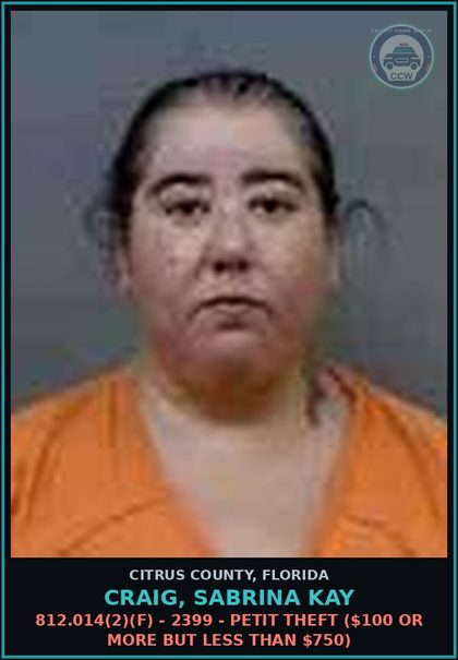 CCW arrest card for Craig, Sabrina Kay in Citrus County: 812.014(2)(F) - 2399 - PETIT THEFT ($100 OR MORE BUT LESS THAN $750)