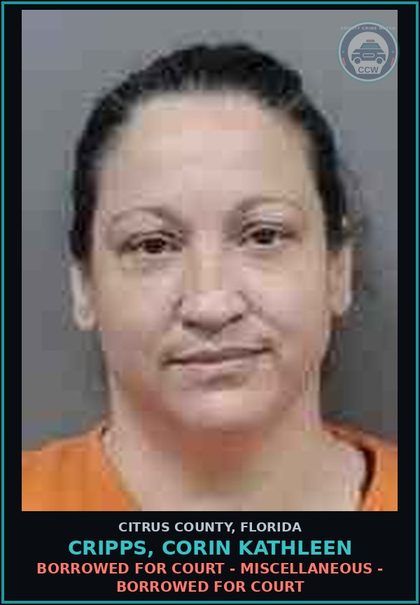 CCW arrest card for CRIPPS, CORIN KATHLEEN in Citrus County: BORROWED FOR COURT - MISCELLANEOUS - BORROWED FOR COURT