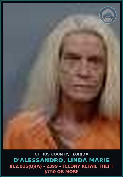 CCW arrest card for D'ALESSANDRO, LINDA MARIE in Citrus County: 812.015(8)(A) - 2399 - FELONY RETAIL THEFT $750 OR MORE