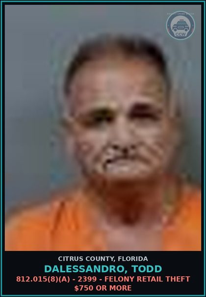 CCW arrest card for DALESSANDRO, TODD in Citrus County: 812.015(8)(A) - 2399 - FELONY RETAIL THEFT $750 OR MORE