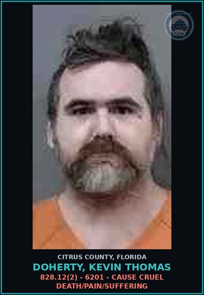 CCW arrest card for DOHERTY, KEVIN THOMAS in Citrus County: 828.12(2) - 6201 - CAUSE CRUEL DEATH/PAIN/SUFFERING