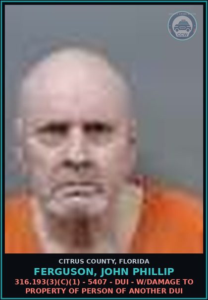 CCW arrest card for FERGUSON, JOHN PHILLIP in Citrus County: 316.193(3)(C)(1) - 5407 - DUI - W/DAMAGE TO PROPERTY OF PERSON OF ANOTHER DUI