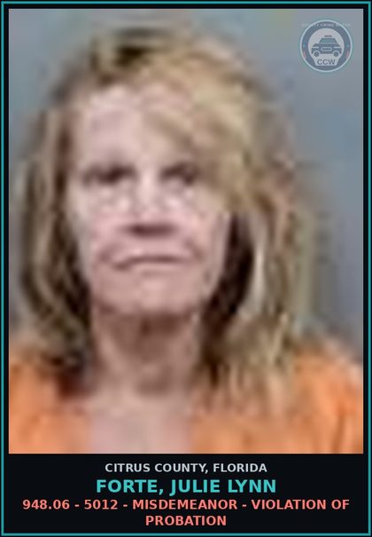 CCW arrest card for FORTE, JULIE LYNN in Citrus County: 948.06 - 5012 - MISDEMEANOR - VIOLATION OF PROBATION