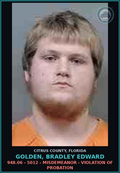 CCW arrest card for GOLDEN, BRADLEY EDWARD in Citrus County: 948.06 - 5012 - MISDEMEANOR - VIOLATION OF PROBATION