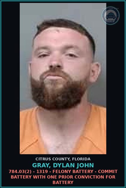 CCW arrest card for GRAY, DYLAN JOHN in Citrus County: 784.03(2) - 1319 - FELONY BATTERY - COMMIT BATTERY WITH ONE PRIOR CONVICTION FOR BATTERY