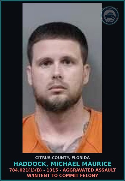 CCW arrest card for Haddock, Michael Maurice in Citrus County: 784.03(1)(A)(1) DOMESTIC - 1319 - DOMESTIC BATTERY