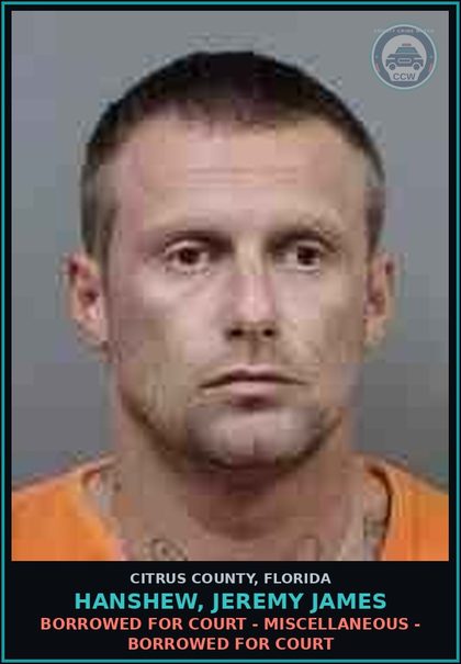 CCW arrest card for HANSHEW, JEREMY JAMES in Citrus County: BORROWED FOR COURT - MISCELLANEOUS - BORROWED FOR COURT