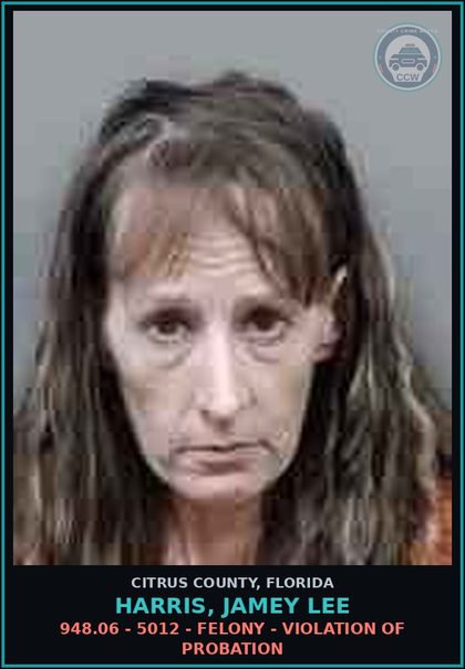 CCW arrest card for HARRIS, JAMEY LEE in Citrus County: 948.06 - 5012 - FELONY - VIOLATION OF PROBATION