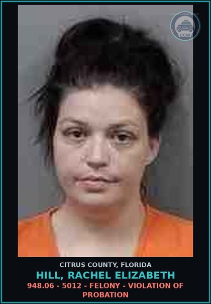 CCW arrest card for HILL, RACHEL ELIZABETH in Citrus County: 948.06 - 5012 - FELONY - VIOLATION OF PROBATION