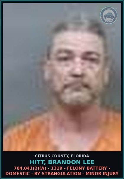 CCW arrest card for HITT, BRANDON LEE in Citrus County: 784.041(2)(A) - 1319 - FELONY BATTERY - DOMESTIC - BY STRANGULATION - MINOR INJURY