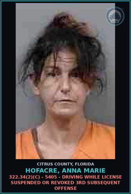 CCW arrest card for Hofacre, Anna MARIE in Citrus County: 322.34(2)(C) - 5405 - DRIVING WHILE LICENSE SUSPENDED OR REVOKED 3RD SUBSEQUENT OFFENSE